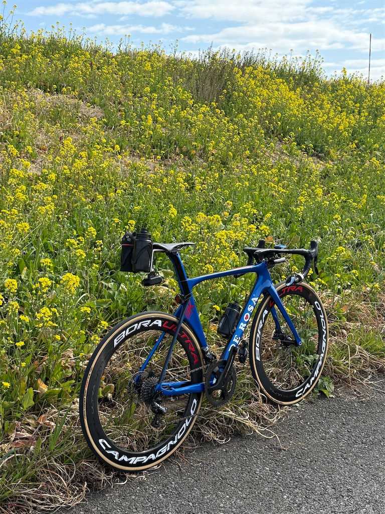 f:id:ABi-R:20250302135308j:image f:id:ABi-R:20250302135308j:image