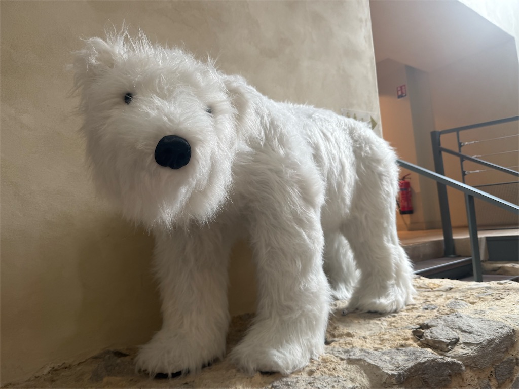 f:id:ABi-R:20250423074319j:image f:id:ABi-R:20250423074319j:image