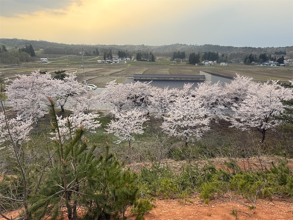 f:id:ABi-R:20250427174041j:image f:id:ABi-R:20250427174041j:image