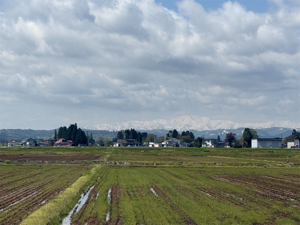 f:id:ABi-R:20250503175943j:image f:id:ABi-R:20250503175943j:image