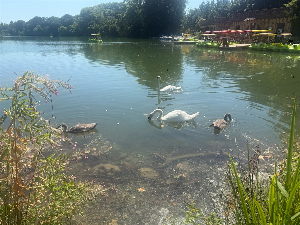 f:id:ABi-R:20250724073541j:image f:id:ABi-R:20250724073541j:image