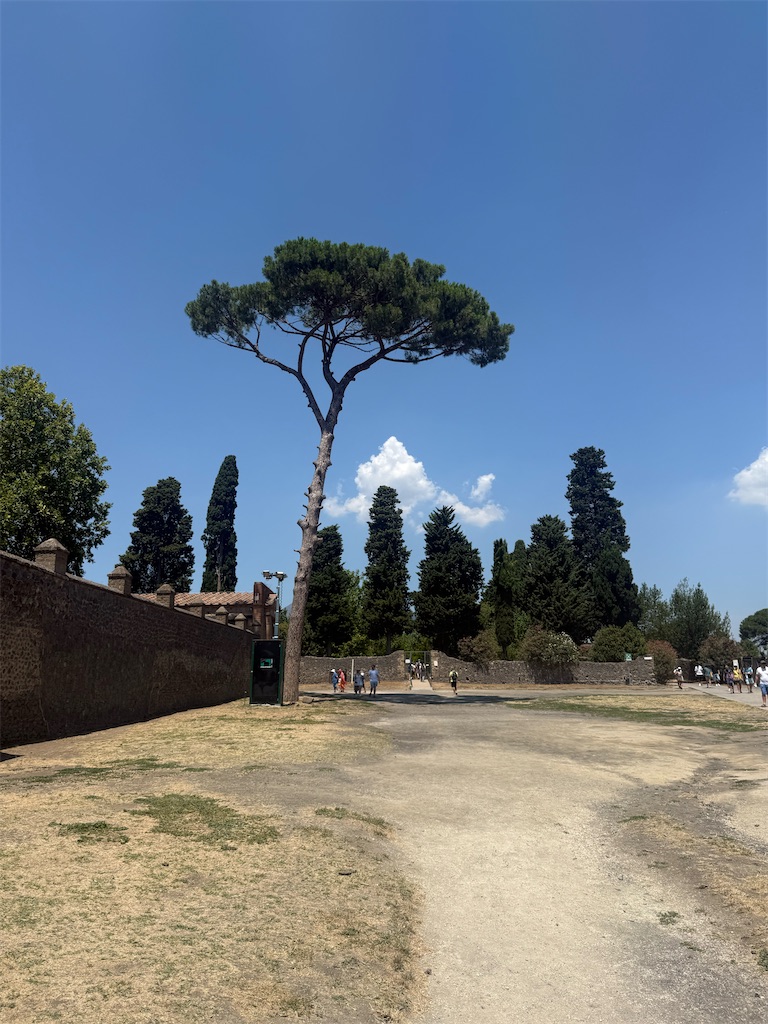 f:id:ABi-R:20250726183820j:image