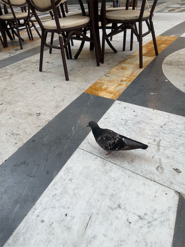 f:id:ABi-R:20250726231218j:image f:id:ABi-R:20250726231218j:image