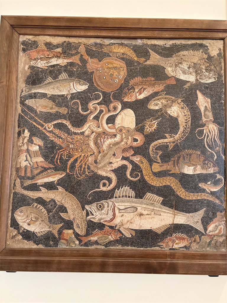 f:id:ABi-R:20250727182940j:image f:id:ABi-R:20250727182940j:image