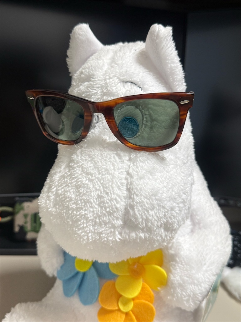 Ray-Ban Wayfarerのヴィンテージモデルを買った - 甘く香るか青いバラ