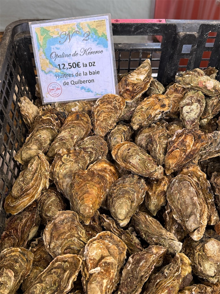 f:id:ABi-R:20251103093531j:image