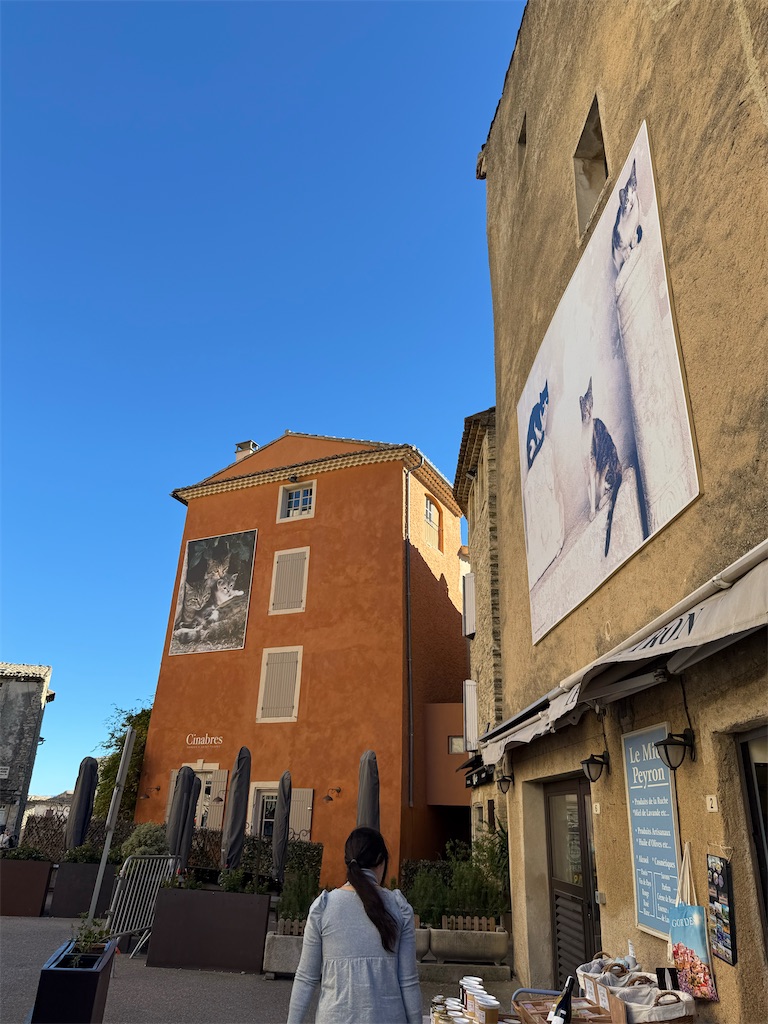 f:id:ABi-R:20251103100452j:image f:id:ABi-R:20251103100452j:image