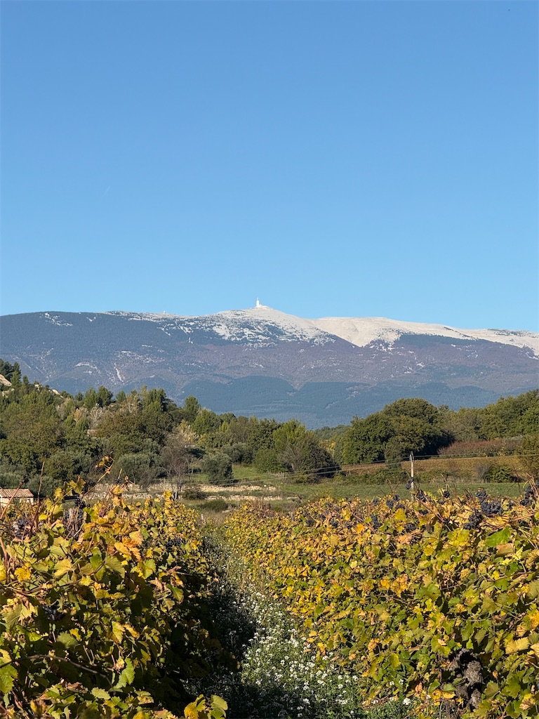 f:id:ABi-R:20251103100506j:image f:id:ABi-R:20251103100506j:image