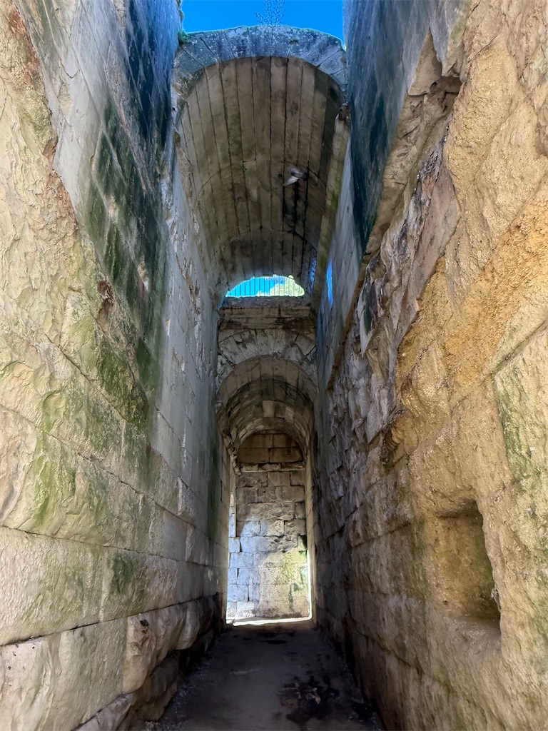 f:id:ABi-R:20251103112226j:image f:id:ABi-R:20251103112226j:image