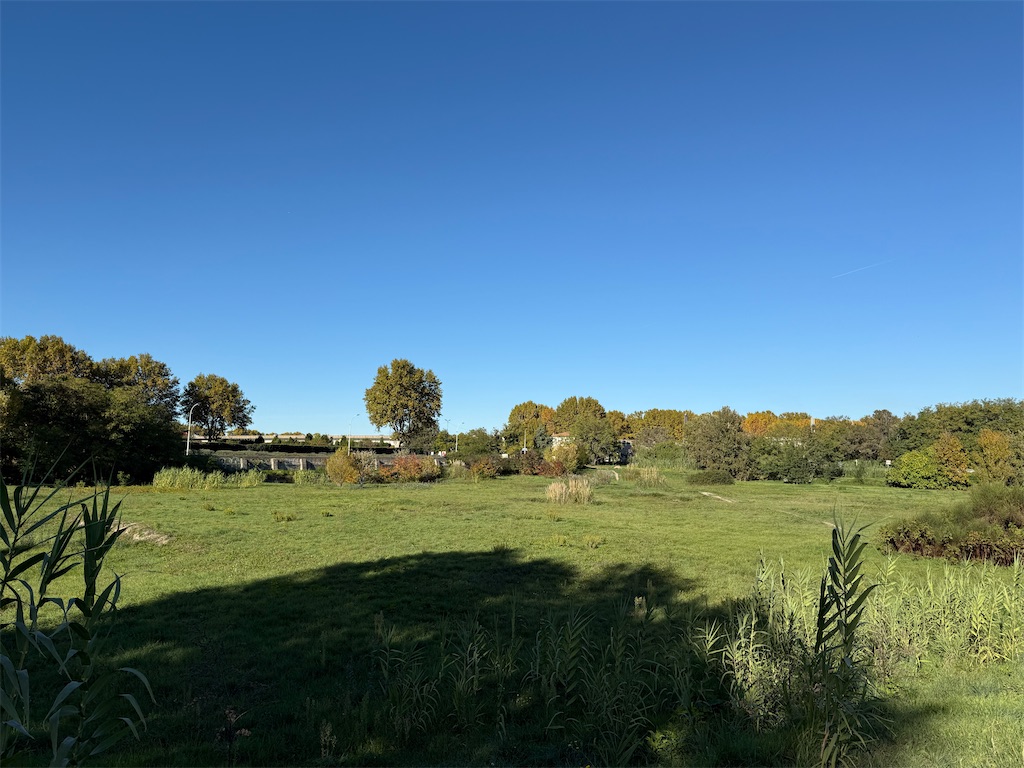 f:id:ABi-R:20251103133733j:image f:id:ABi-R:20251103133733j:image