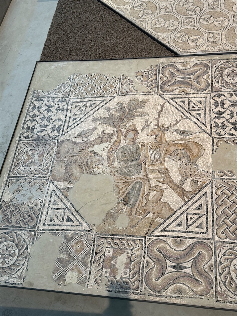 f:id:ABi-R:20251103133803j:image f:id:ABi-R:20251103133803j:image