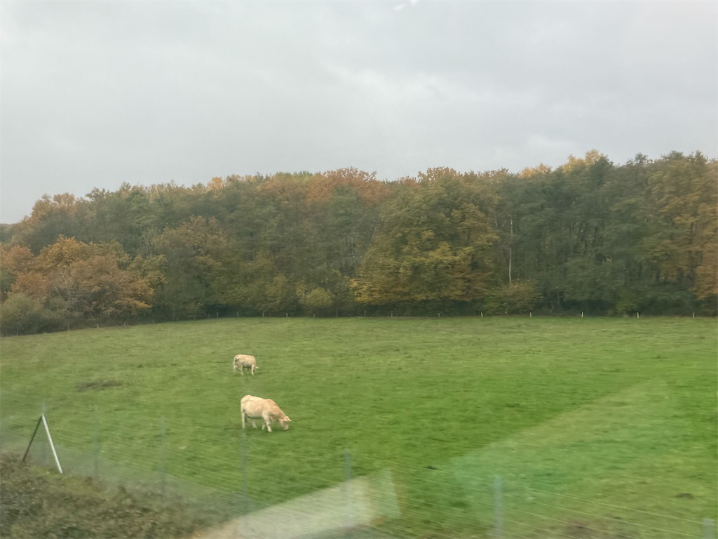 f:id:ABi-R:20251103144742j:image f:id:ABi-R:20251103144742j:image