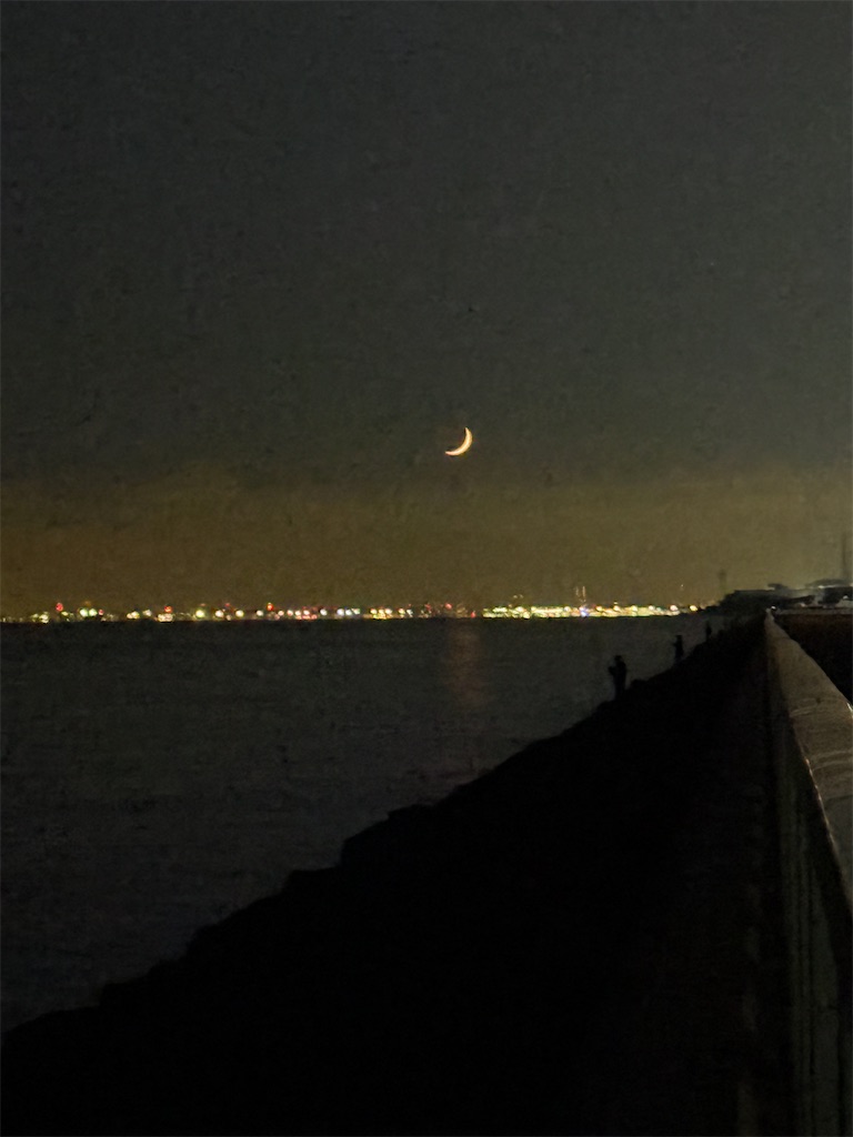 f:id:ABi-R:20251123181413j:image f:id:ABi-R:20251123181413j:image