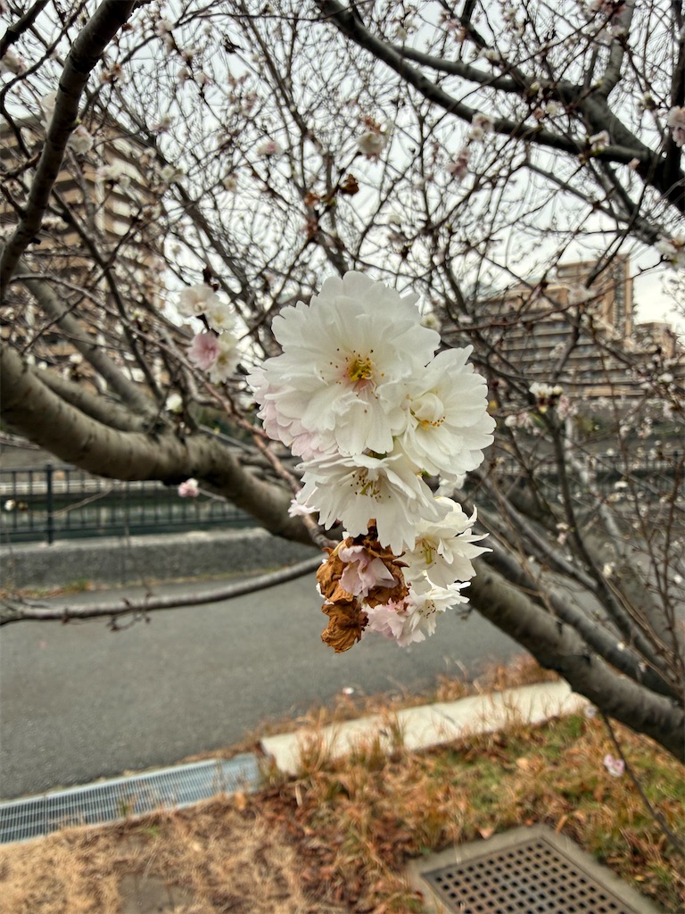 f:id:ABi-R:20251227151449j:image f:id:ABi-R:20251227151449j:image