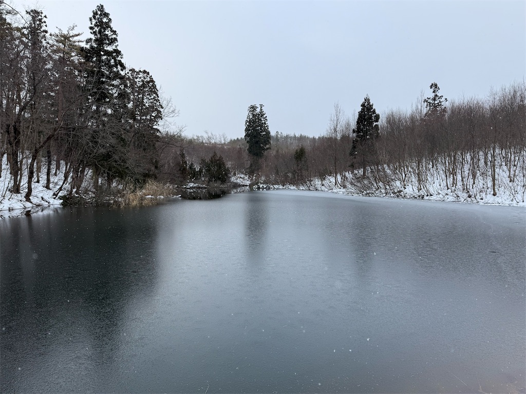 f:id:ABi-R:20251231224030j:image f:id:ABi-R:20251231224030j:image