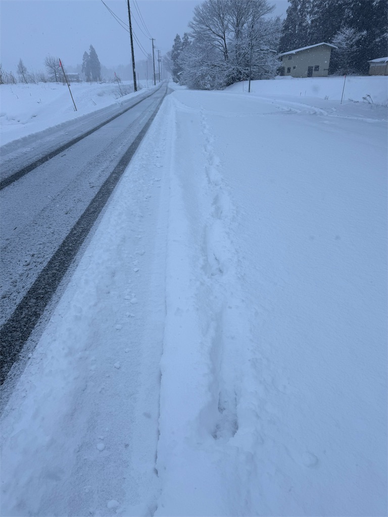 f:id:ABi-R:20260101175517j:image f:id:ABi-R:20260101175517j:image