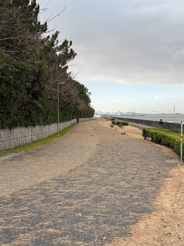 f:id:ABi-R:20260113072702j:image f:id:ABi-R:20260113072702j:image