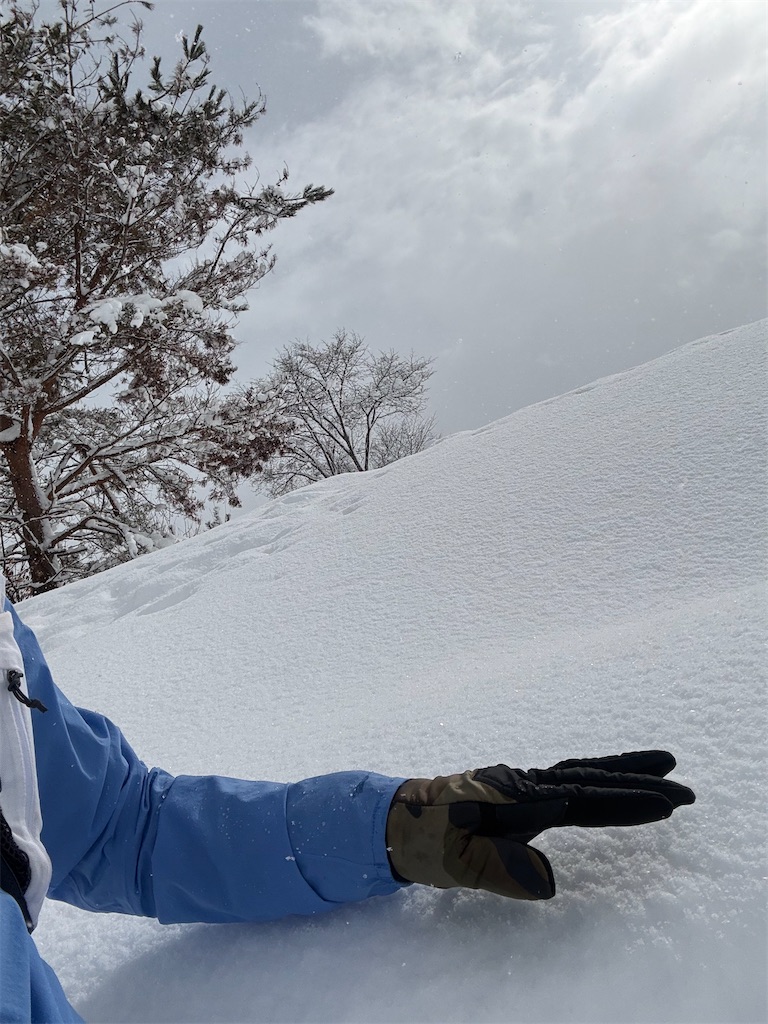 f:id:ABi-R:20260129083139j:image f:id:ABi-R:20260129083139j:image