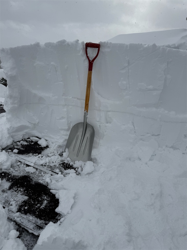 f:id:ABi-R:20260201221722j:image f:id:ABi-R:20260201221722j:image