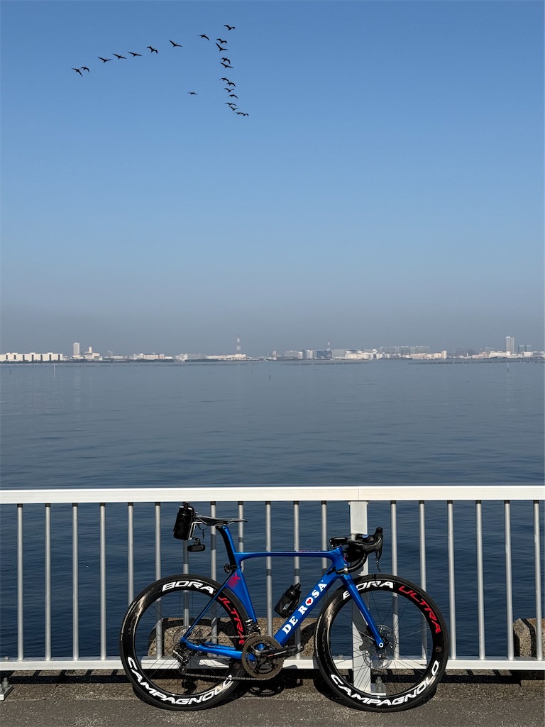 f:id:ABi-R:20260215183538j:image f:id:ABi-R:20260215183538j:image