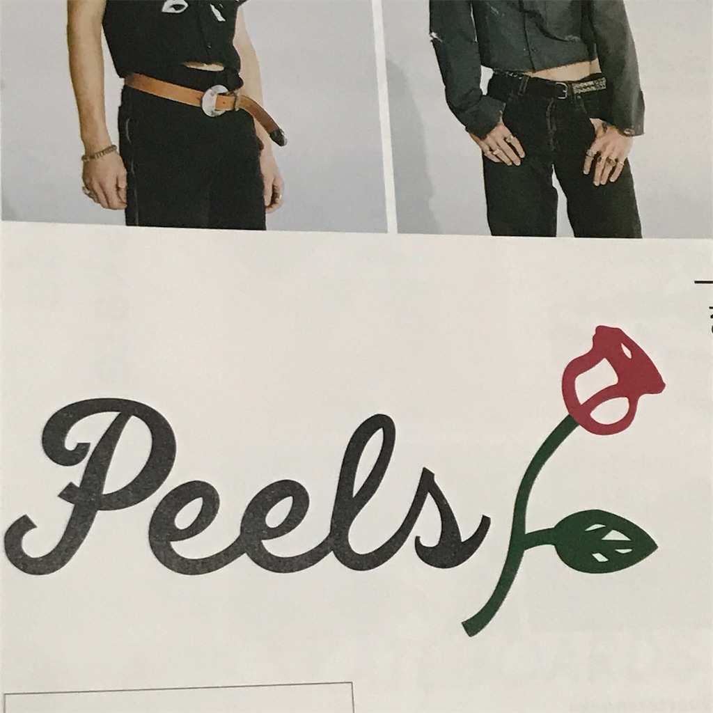 f:id:ACE331:20190330183827j:image