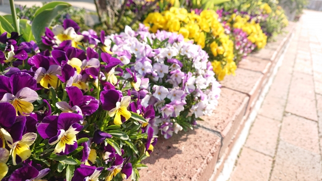 f:id:ACFIELD:20210523125524j:plain