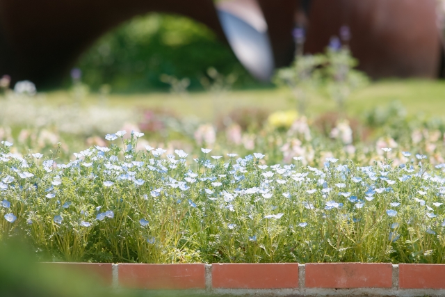 f:id:ACFIELD:20210523183839j:plain