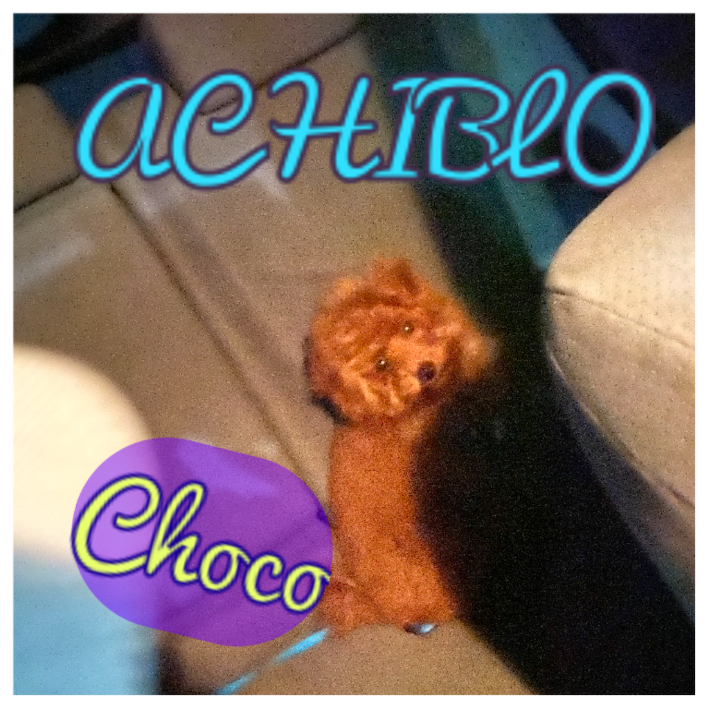 f:id:ACHIBLO:20201015195845p:image