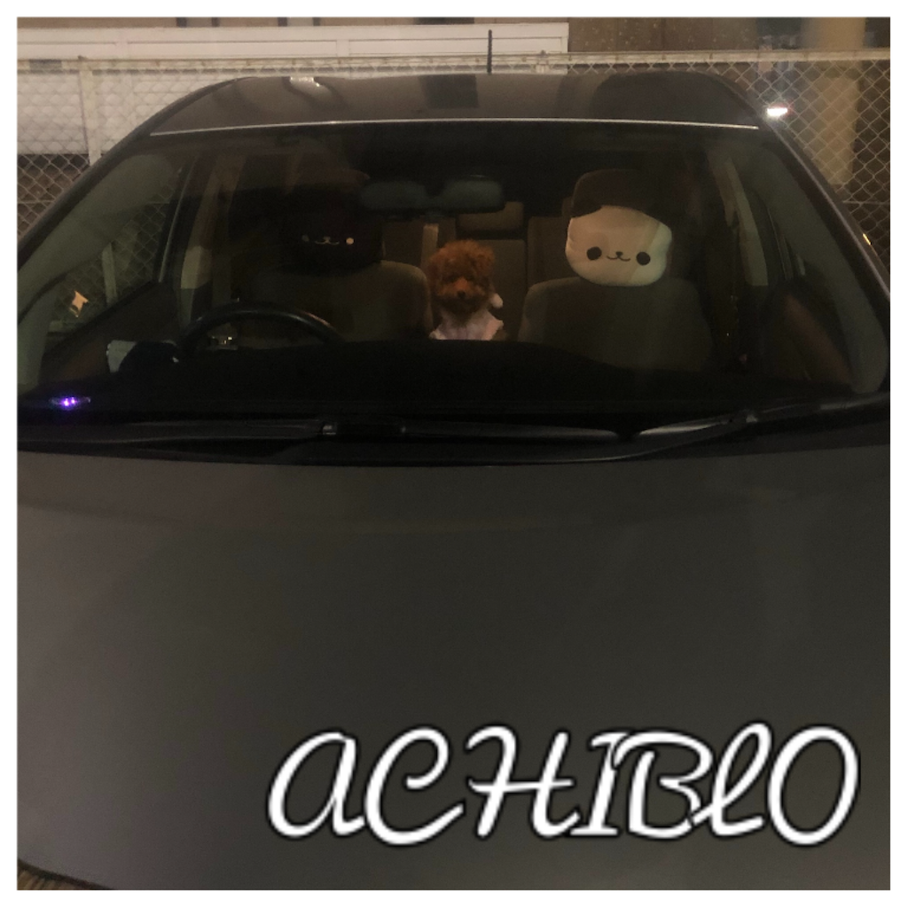 f:id:ACHIBLO:20201016233408p:image