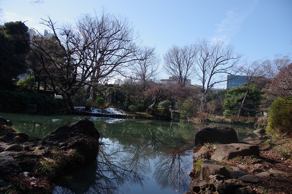 f:id:ADABANA:20220116224009j:plain