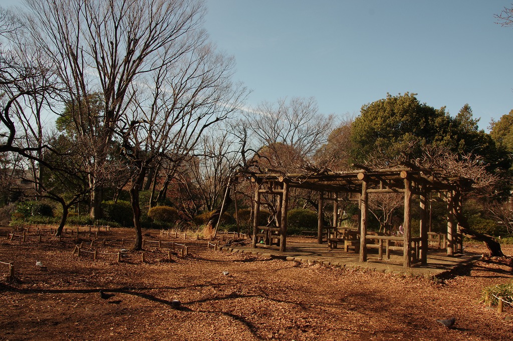 f:id:ADABANA:20220116224258j:plain