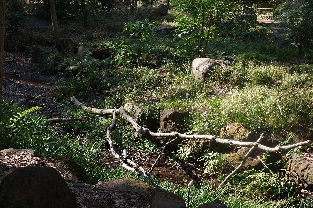 f:id:ADABANA:20220116224928j:plain