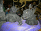 f:id:ADAKEN:20060820120637j:image:small