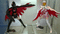 f:id:ADAKEN:20060820132648j:image:small