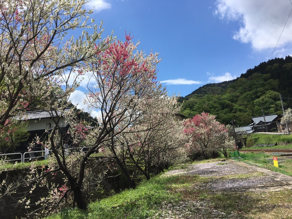 f:id:AGUyama:20190427144722j:plain