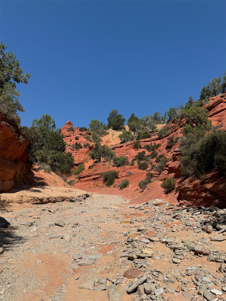 アメリカ旅！グランドサークルロードトリップで巡る絶景