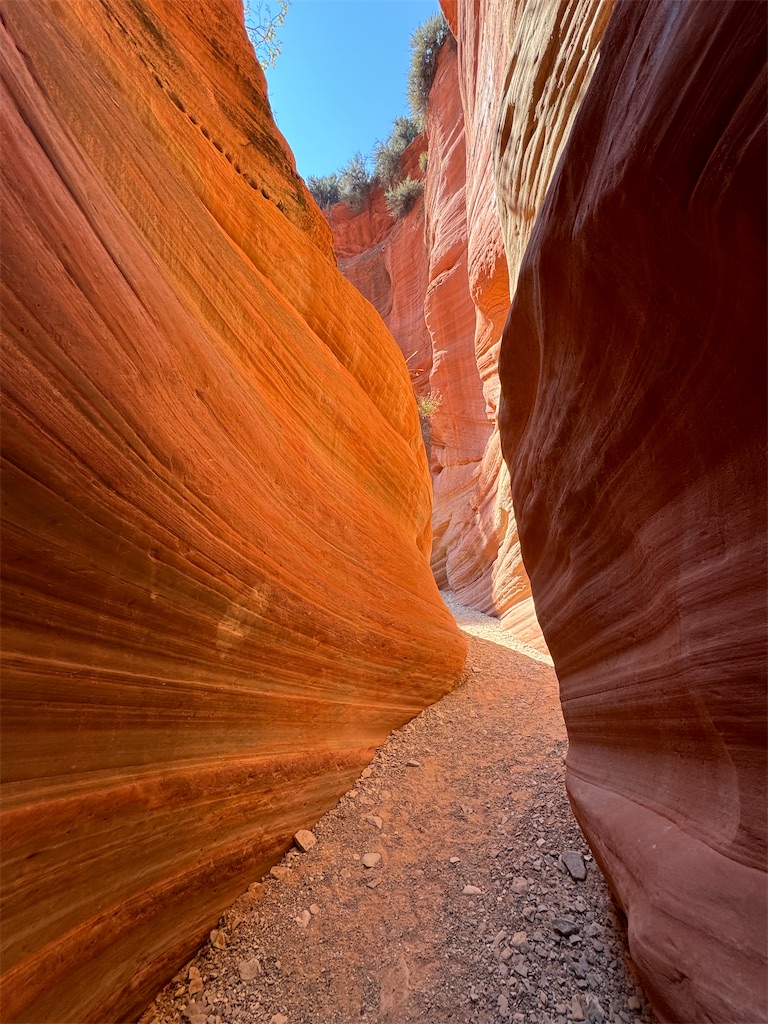 アメリカ旅！グランドサークルロードトリップで巡る絶景