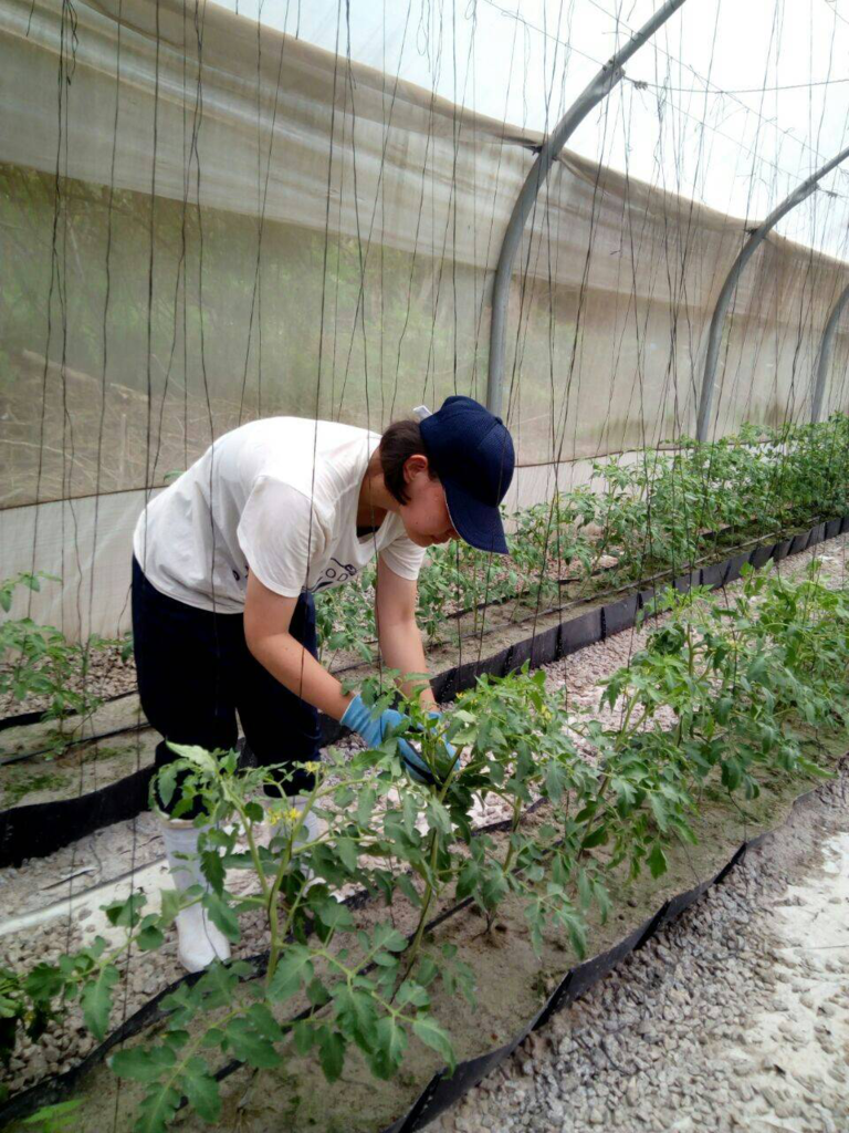 f:id:AIESEC_SD:20170406145544p:plain f:id:AIESEC_SD:20170406145544p:plain