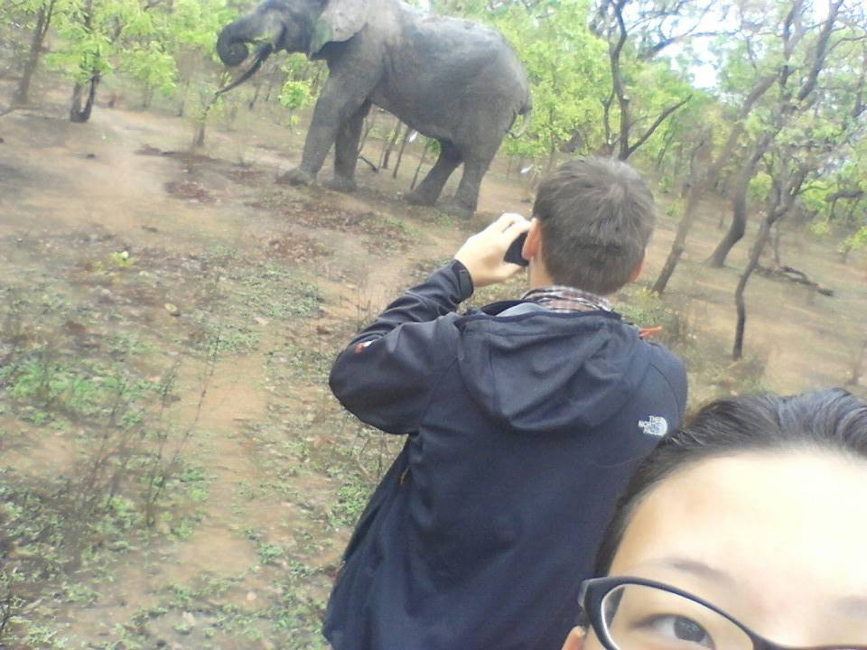 f:id:AIESEC_SD:20170414205806p:plain