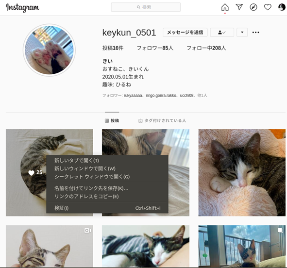 Python スクレイピングで使うテキスト処理 初心者向け 基礎 実践プログラミング