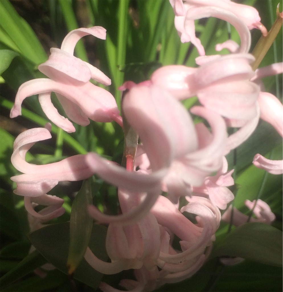 f:id:AIaoko:20200409185714j:image f:id:AIaoko:20200409185714j:image
