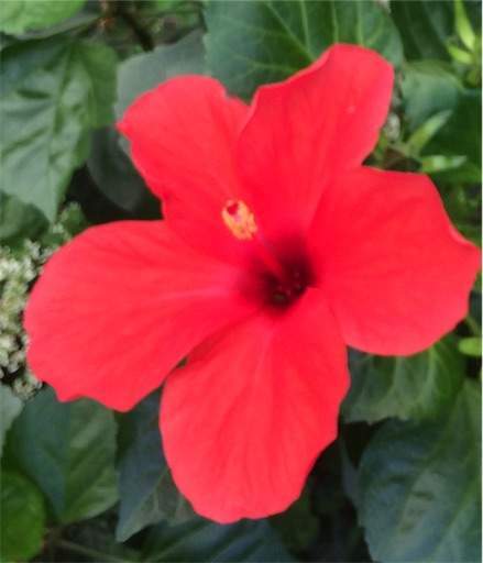 f:id:AIaoko:20200908194302j:image