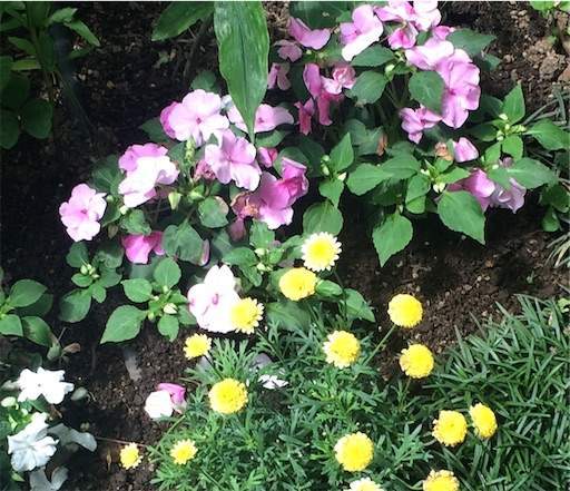 黒のロングコート クイーン エアロスミス マイケル ジャクソン 01年に ロックの殿堂 入りした大好きだったグループ あい青子 大好き だった曲 と 手離し服 で幸せを感じる 認知症の予防と介護