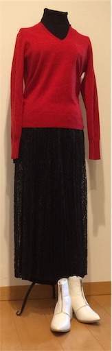 f:id:AIaoko:20201209113728j:image f:id:AIaoko:20201209113728j:image