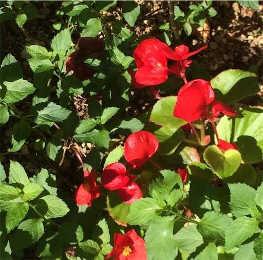 f:id:AIaoko:20210119163300j:image f:id:AIaoko:20210119163300j:image