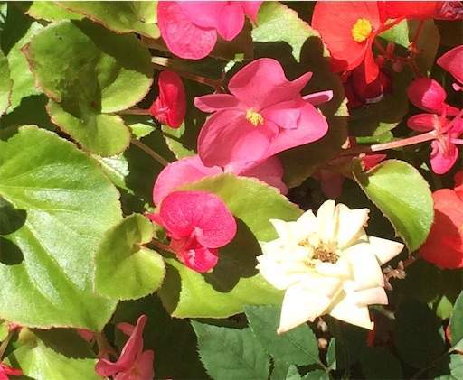 f:id:AIaoko:20210119163419j:image f:id:AIaoko:20210119163419j:image
