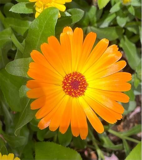 f:id:AIaoko:20210818090011j:image