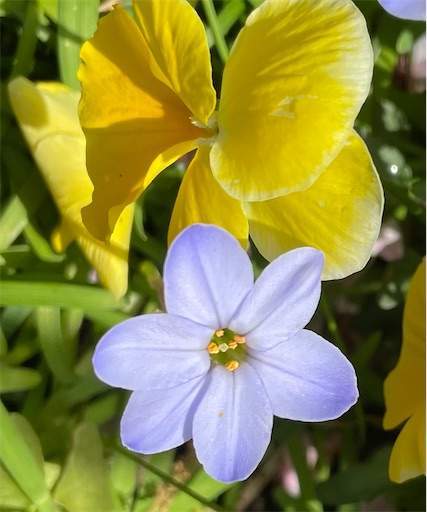 f:id:AIaoko:20210818103855j:image