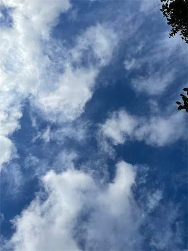 f:id:AIaoko:20210818105301j:image