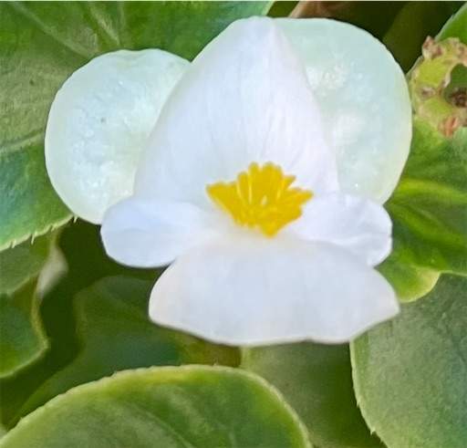 f:id:AIaoko:20210820102019j:plain